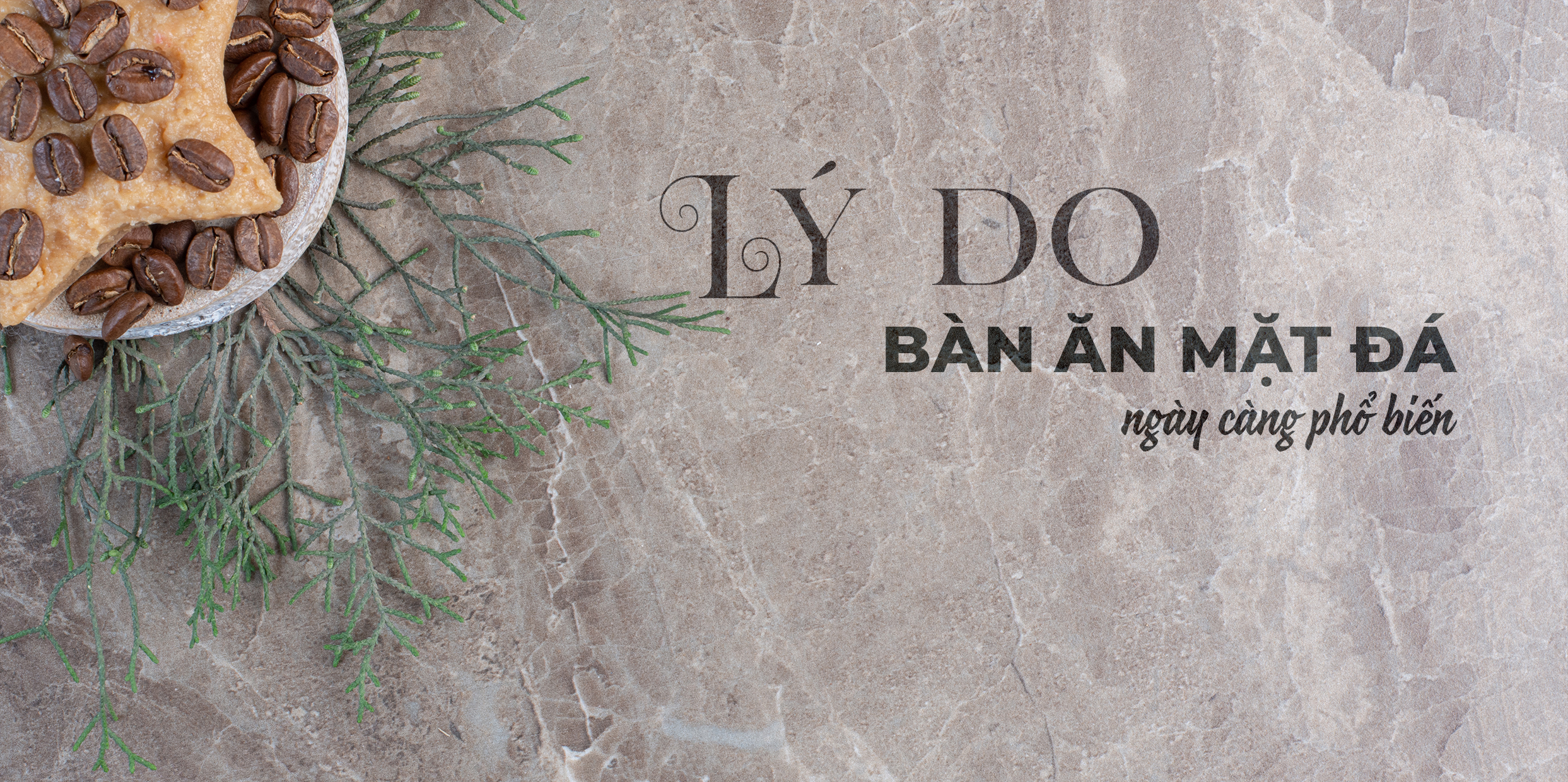 LÝ DO KHIẾN BÀN ĂN MẶT ĐÁ NGÀY CÀNG PHỔ BIẾN???